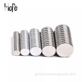 Strong Rare Earth Neodymium Magnet Strong round radial magnetized rare earth neodymium magnet Factory